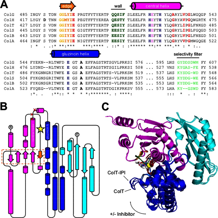 FIGURE 2.