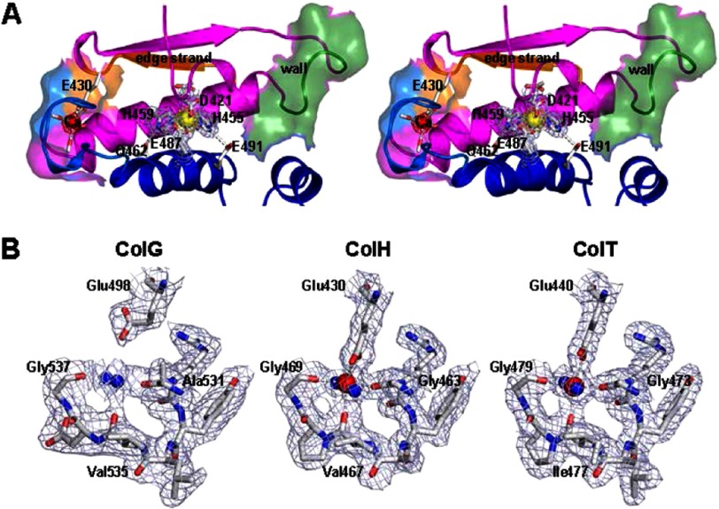 FIGURE 4.