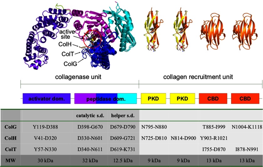 FIGURE 1.