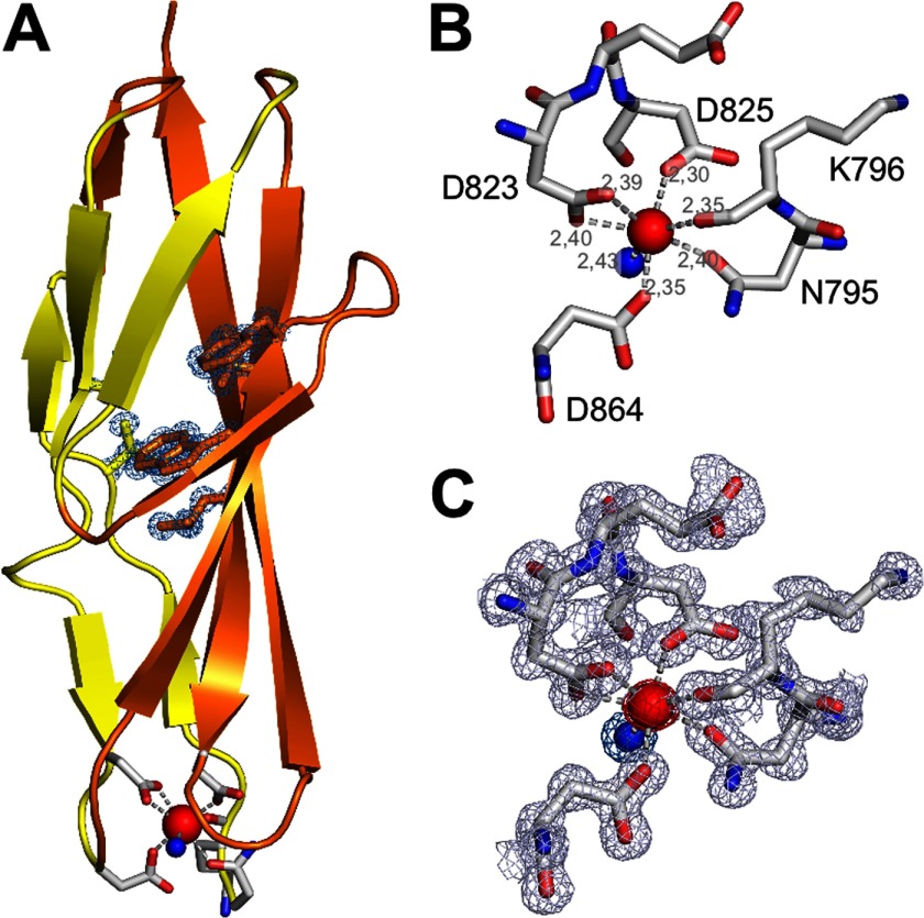 FIGURE 5.