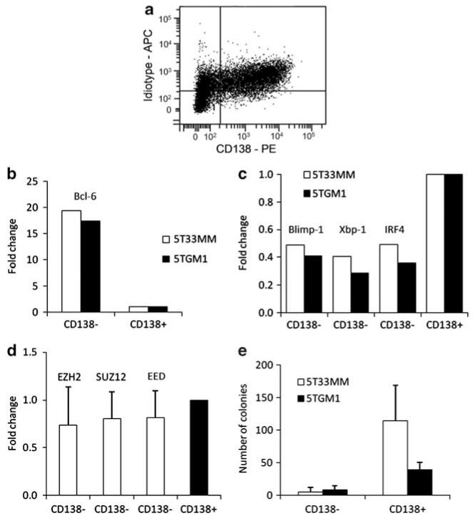 Tumor-initiating capacity of CD138− in and CD138+ tumour cells in the ...