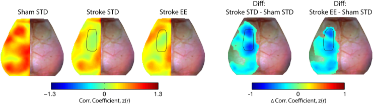 Supplementary Fig. 4