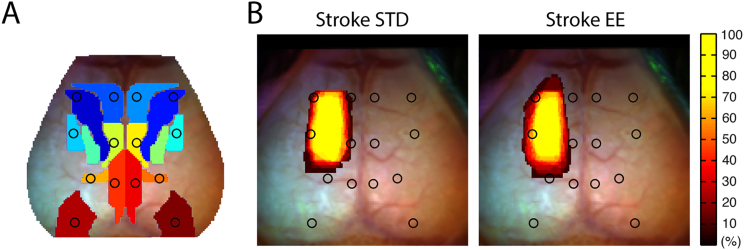 Supplementary Fig. 2