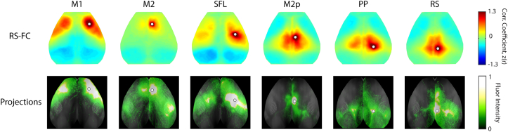 Supplementary Fig. 1