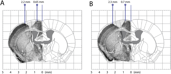 Supplementary Fig. 3