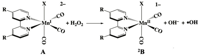 Scheme 1. 