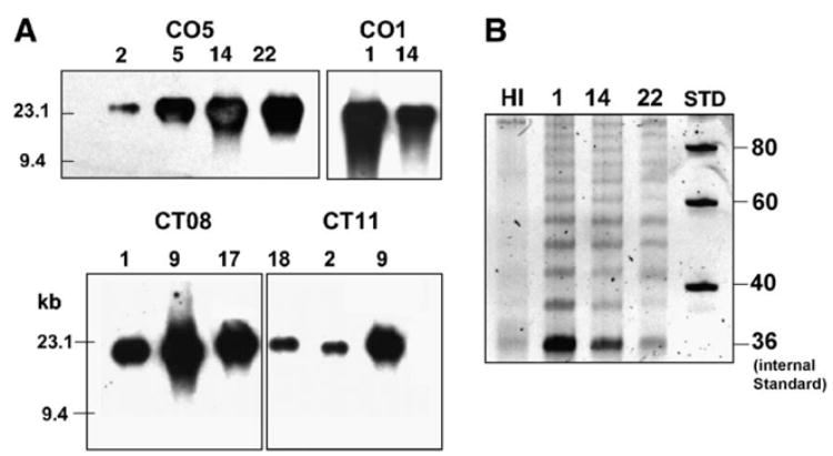 Fig. 10