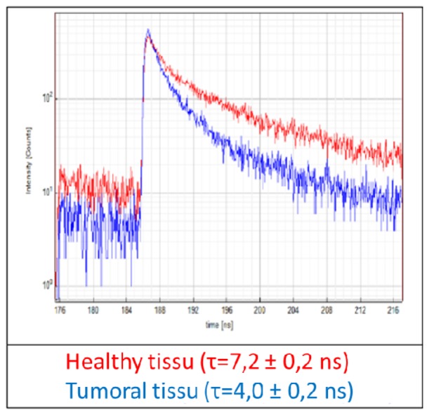 Fig. 10