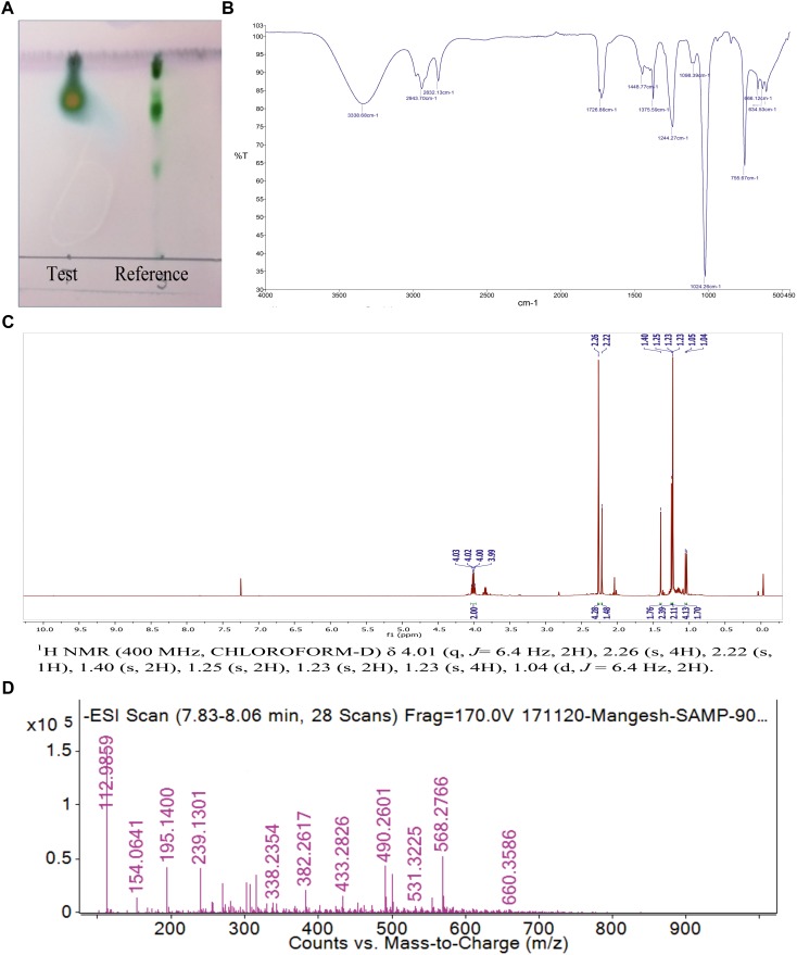 FIGURE 4