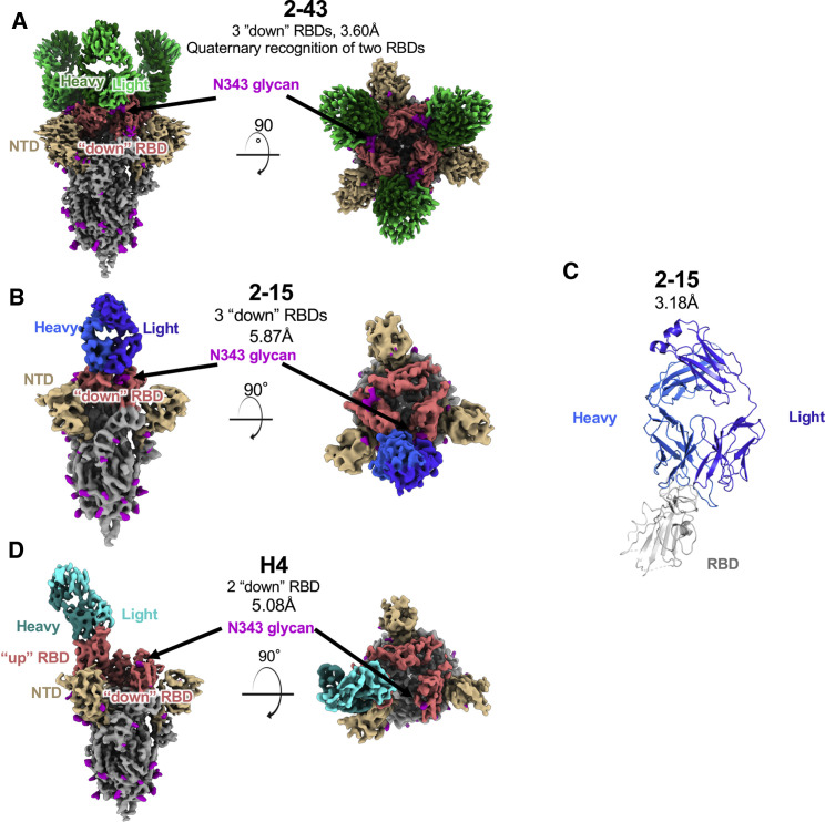 Figure 2