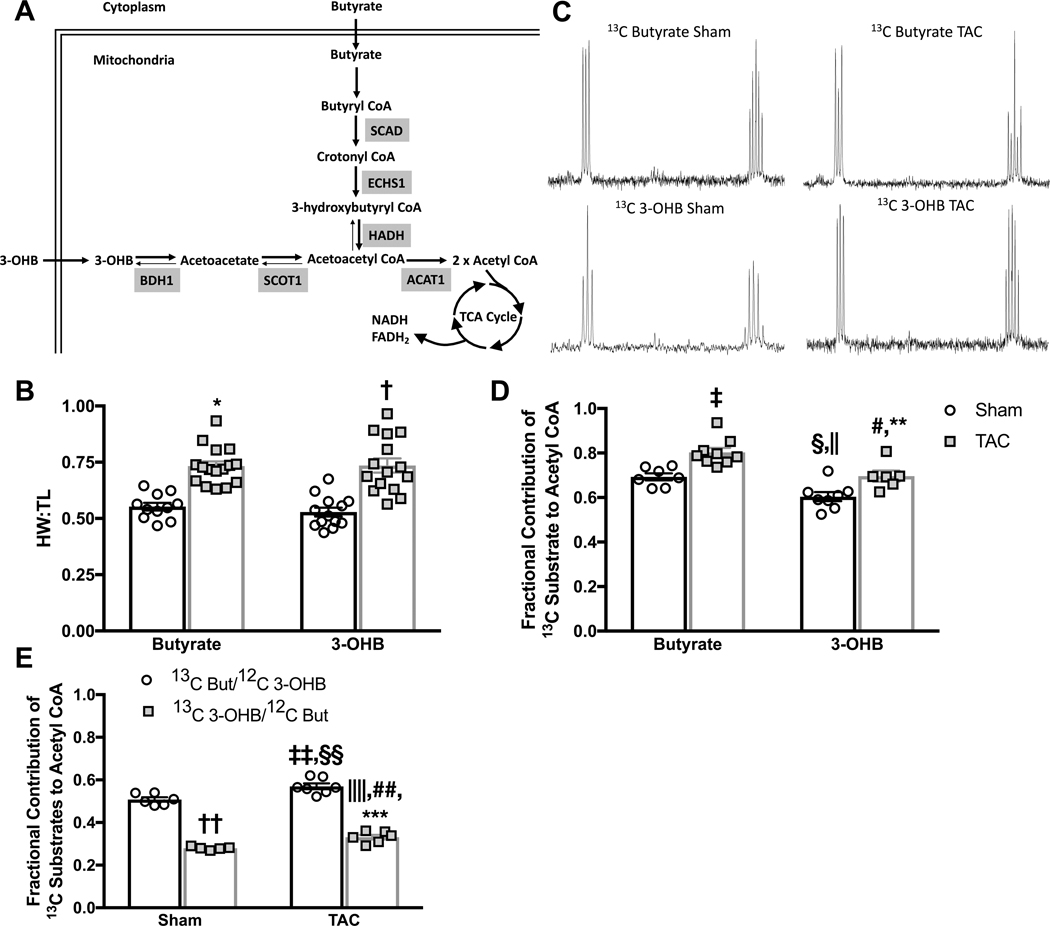 Figure 2 –