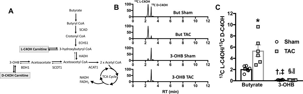 Figure 4 –