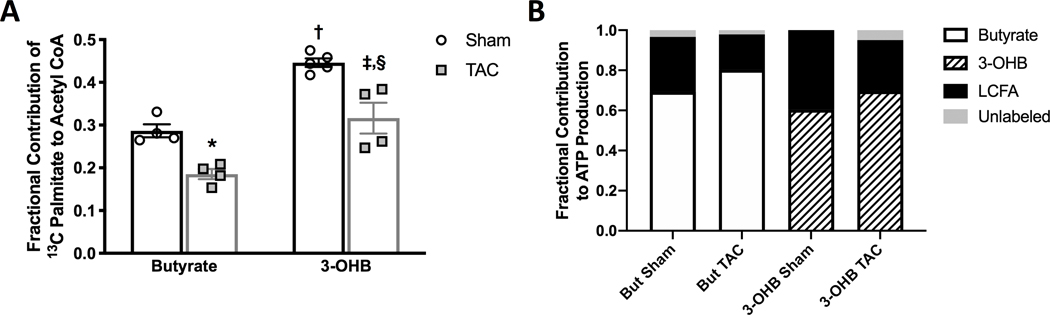 Figure 6 –