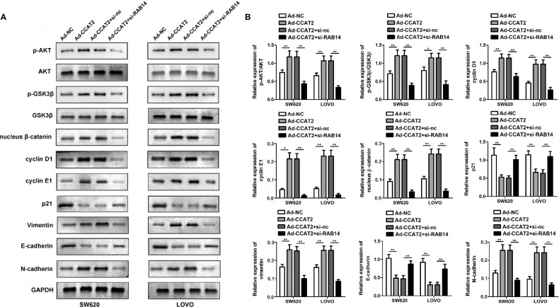 Figure 7