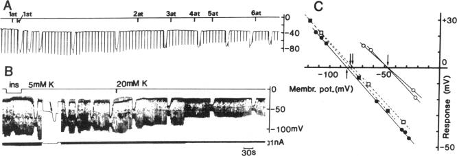 graphic file with name pnas00442-0220-a.jpg