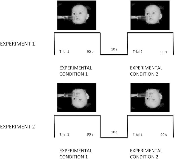 Figure 1