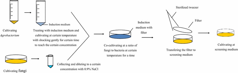 Fig. 2