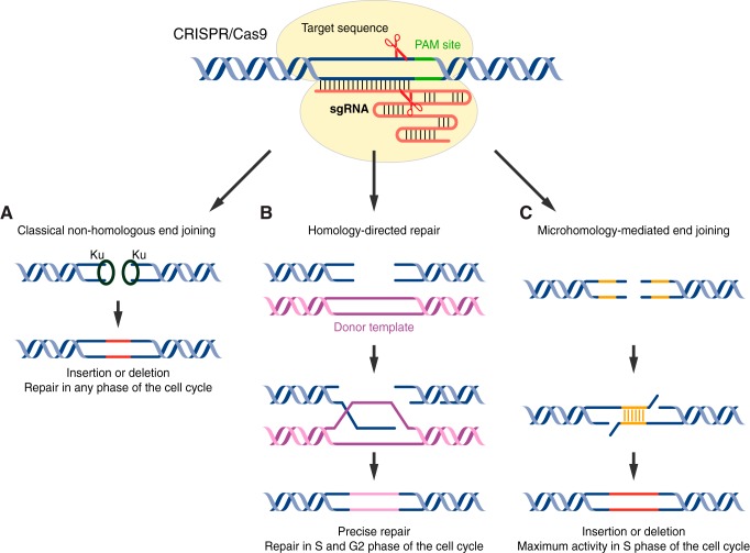 FIGURE 3.