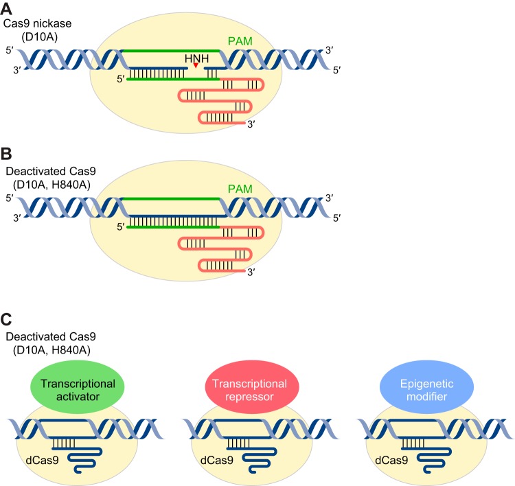 FIGURE 4.