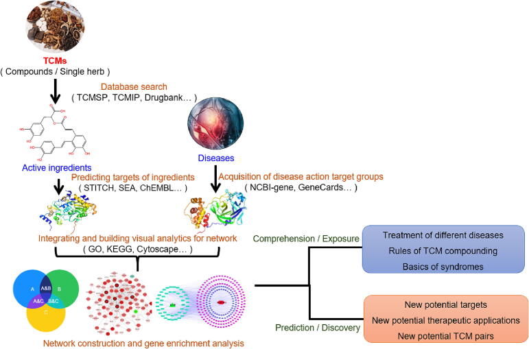 Fig. 2