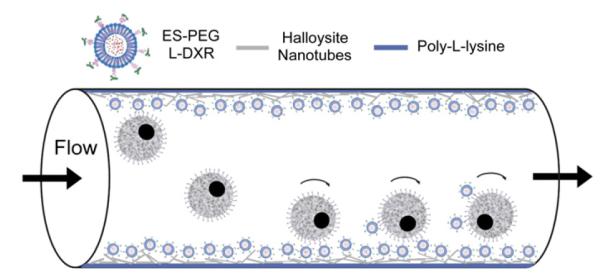 Fig. 12