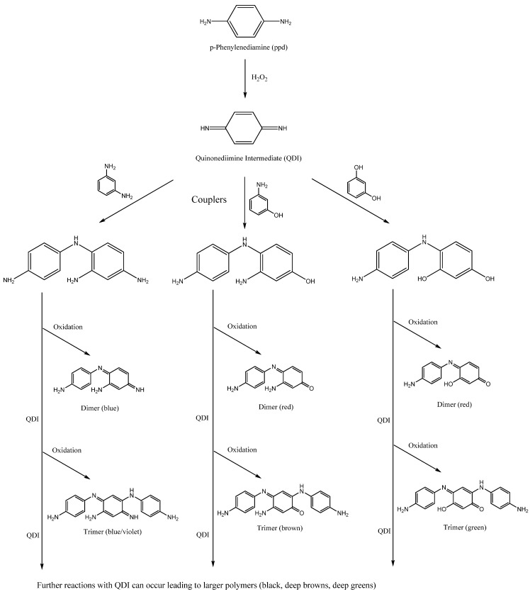 Scheme 2