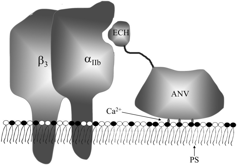 Figure 8.