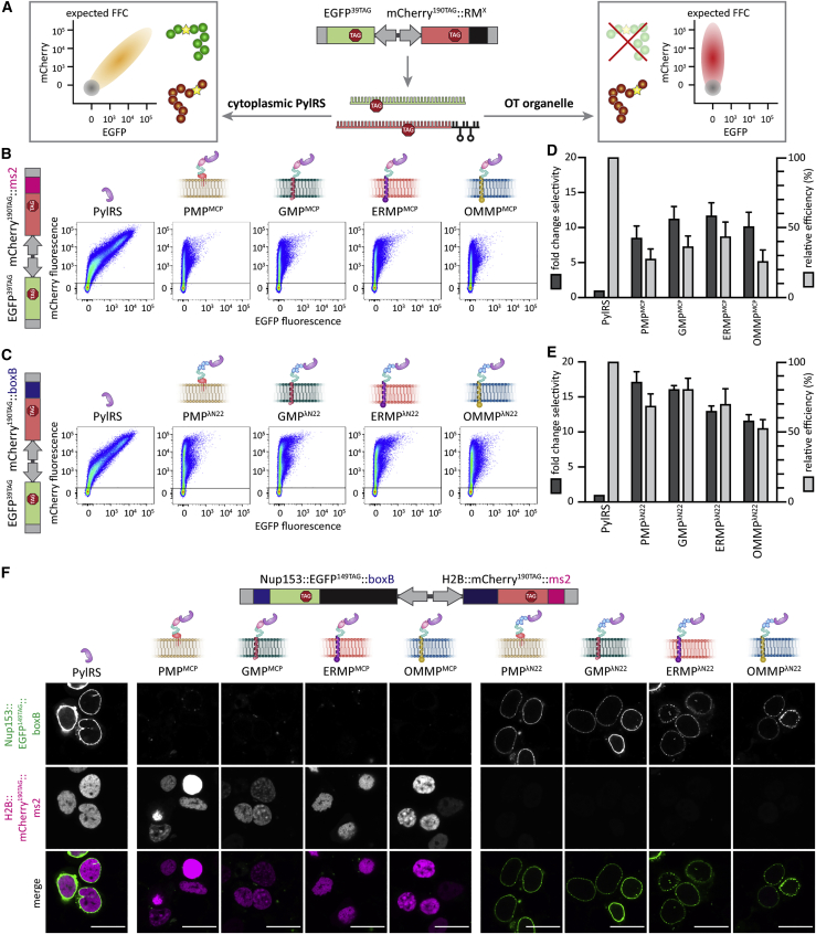 Figure 2