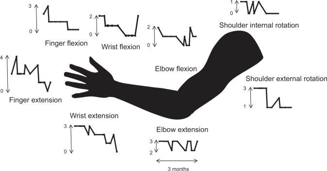 Fig. 7