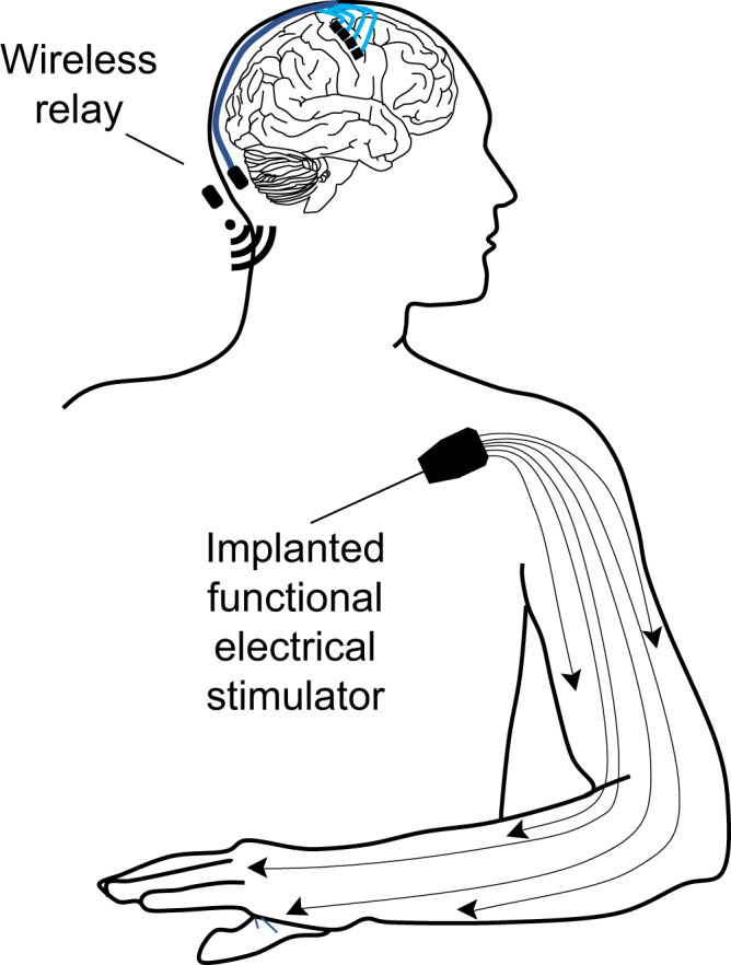 Fig. 8