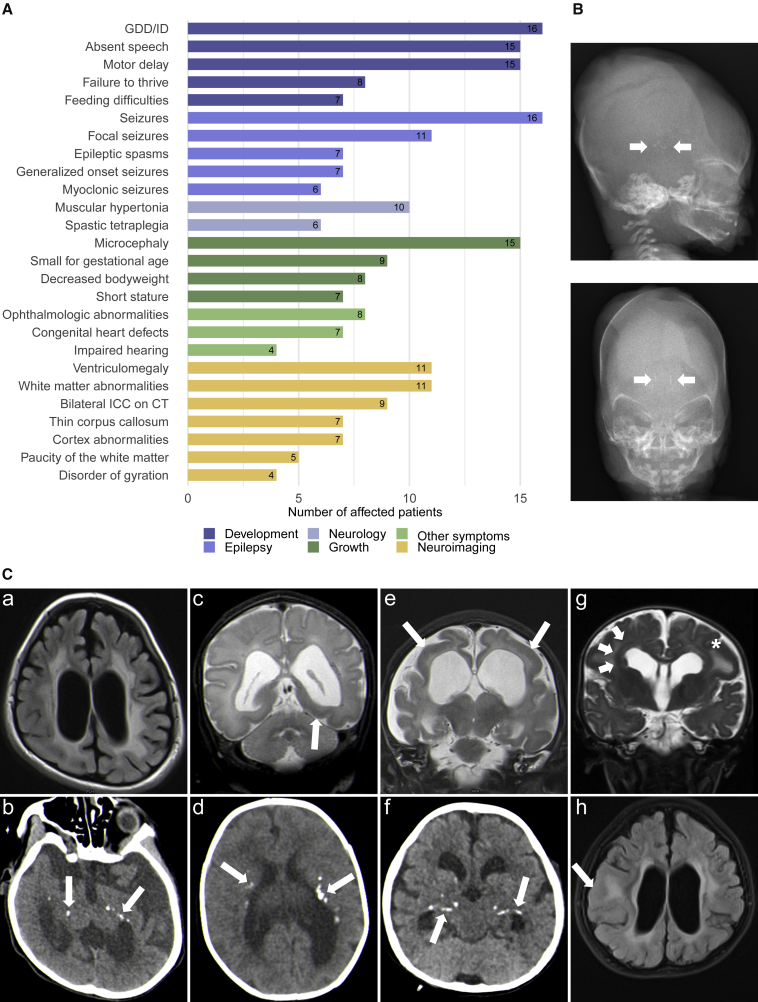 Figure 1