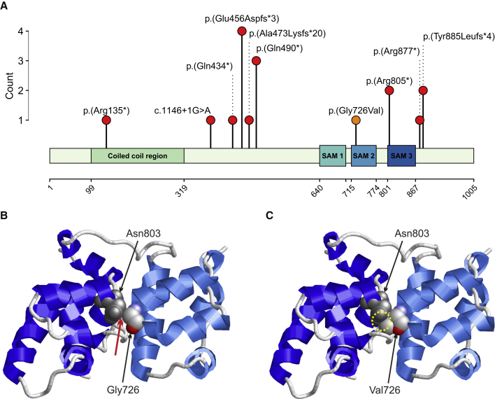 Figure 2