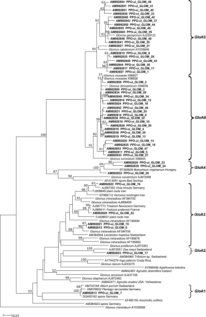 Fig. 2