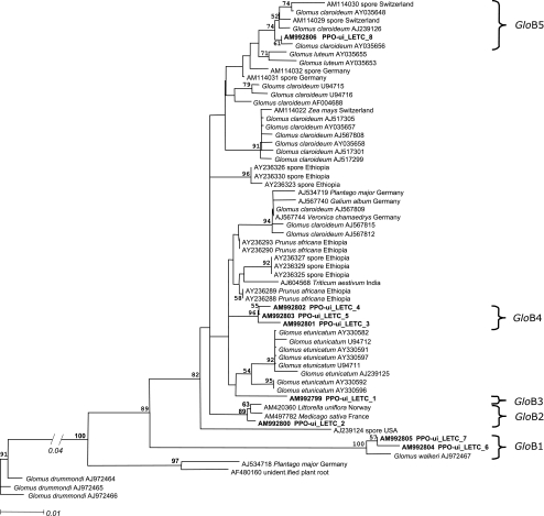 Fig. 3