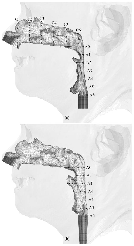 Fig. 6