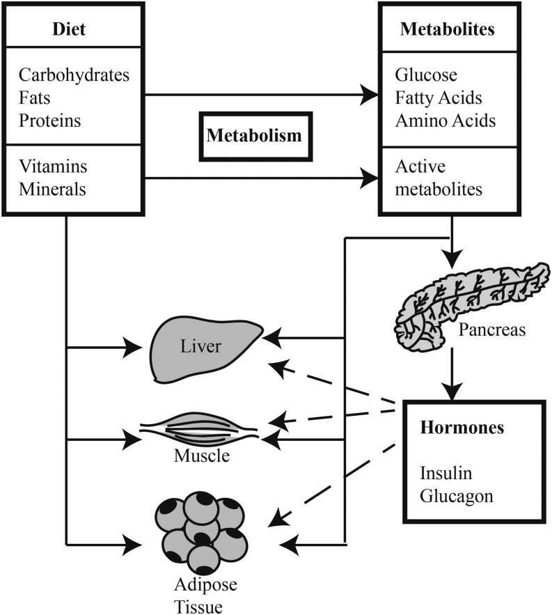 FIGURE 1