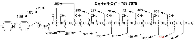 Scheme 3