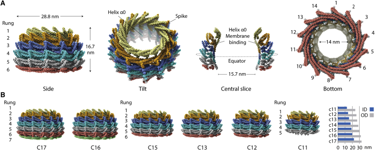 Figure 2