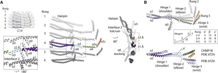 Figure 5