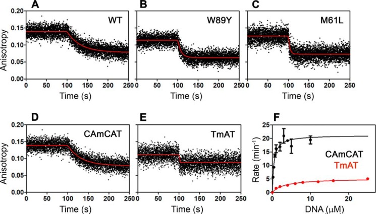 FIGURE 13.