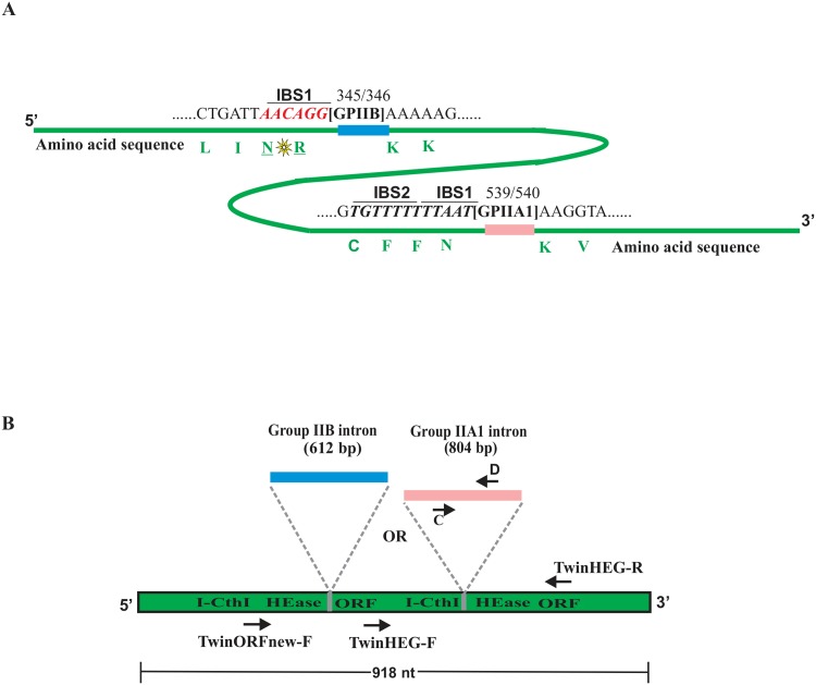 Fig 1