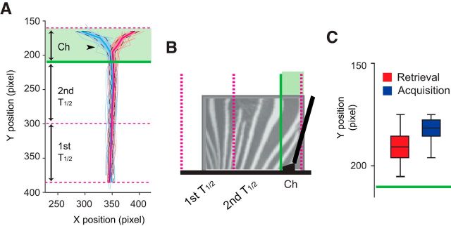 Figure 7.