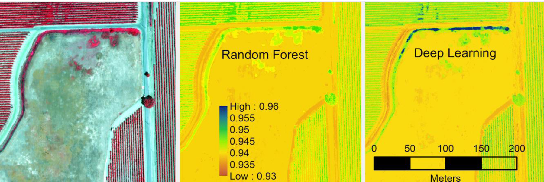 Figure 7,