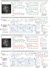 Figure 2 |