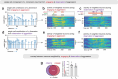 Extended Data 2 |