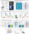 Figure 1 |