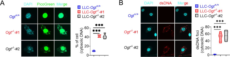 Figure 4—figure supplement 1.