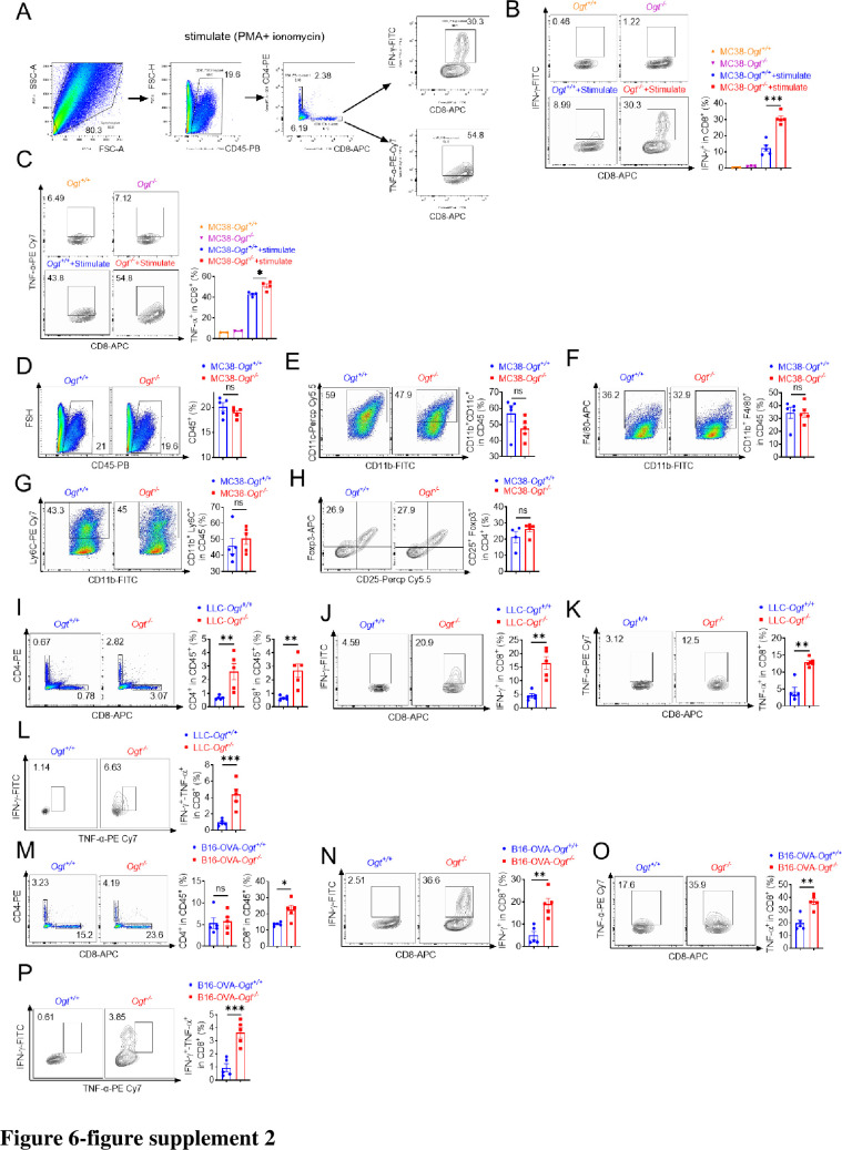 Figure 6—figure supplement 2.