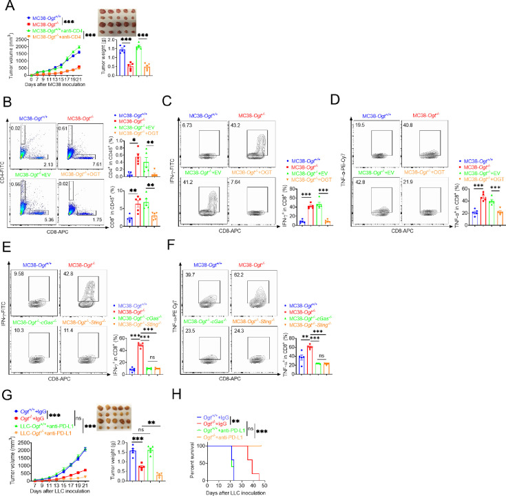 Figure 6—figure supplement 3.