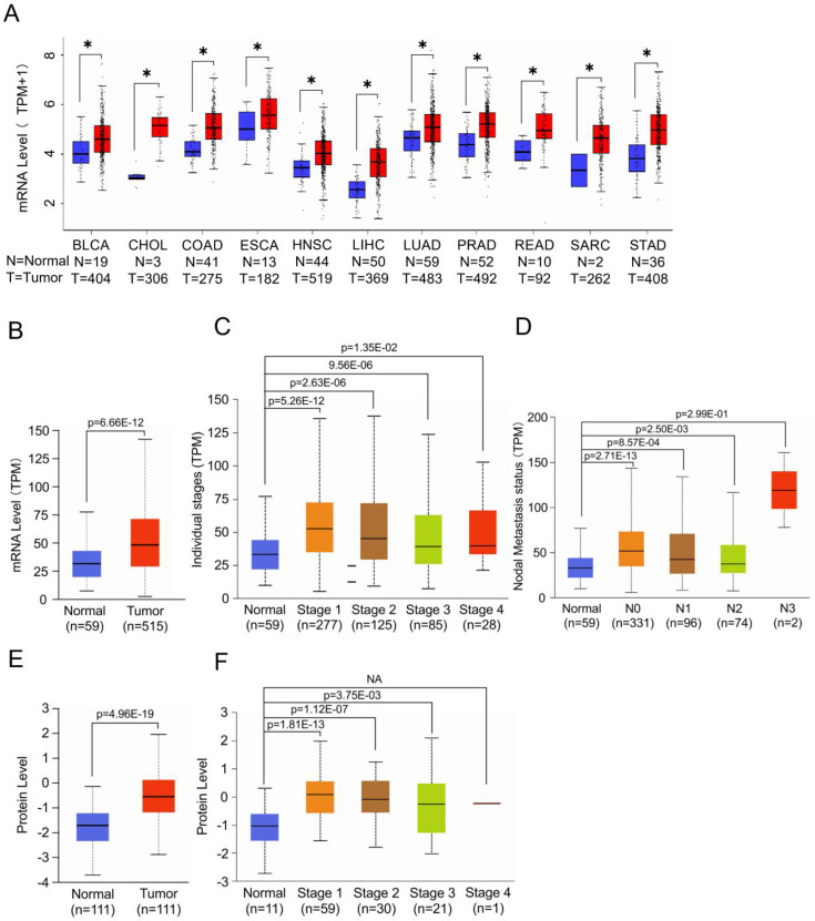 Figure 1—figure supplement 1.